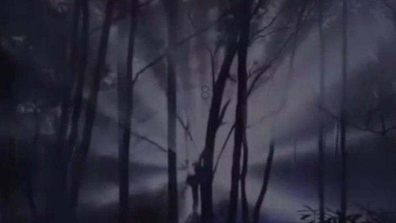 小恐龙来找茬