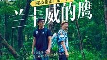 寻找沙漠珍宝