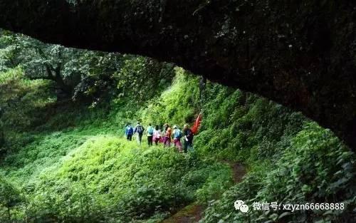 小小棒球赛