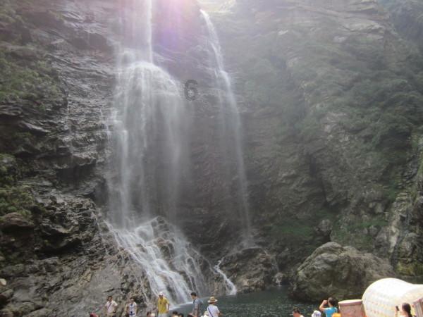 细胞分裂4