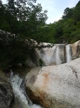 出入境证件办理进入高峰期,春节要出游的你看过来→