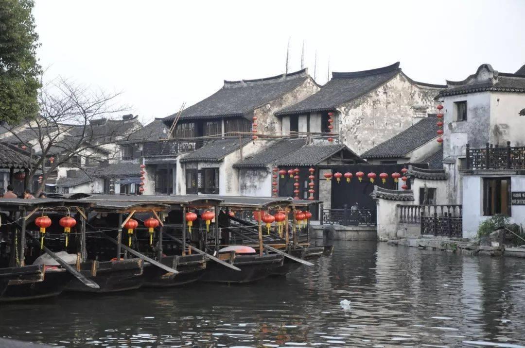 破碎的动物图形