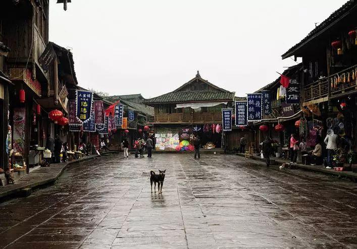 史小坑的爆笑生活12