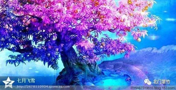 救援萌老虎